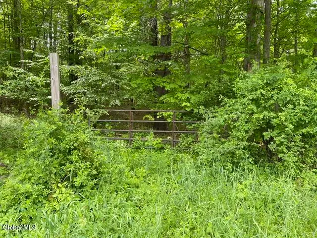 467 Roosevelt Avenue, Cairo, NY 12413 - #2