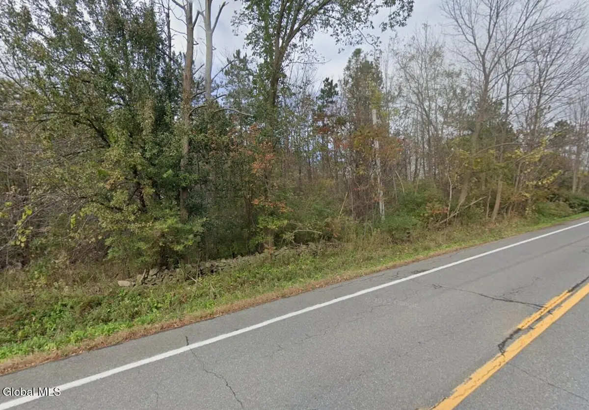 0 St Rte 85, Westerlo, NY 12193 - #1