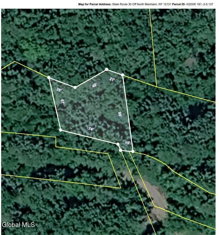 L5.137 State Route 30 Off, Blenheim, NY 12131 - #2