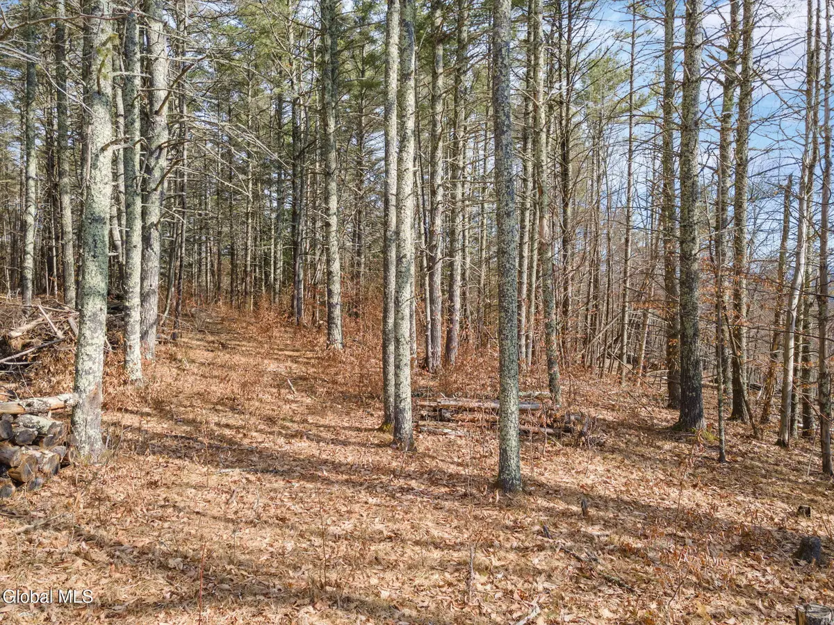 242 Tae Kwon Road, Blenheim, NY 12131 - #1