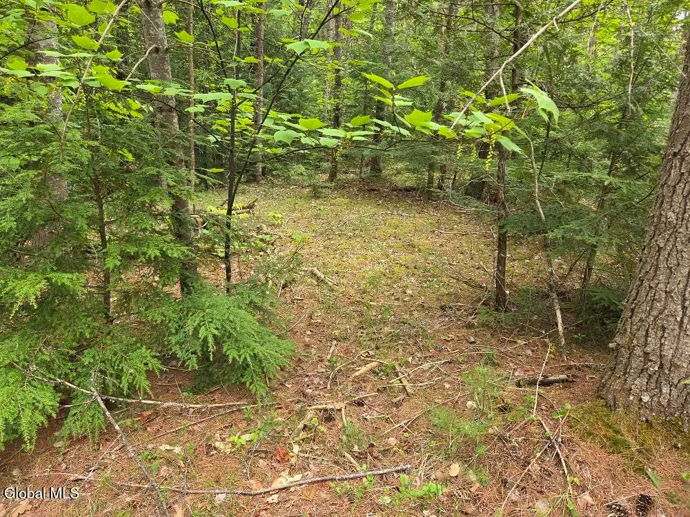 L2 & L3 Old Schroon Road, Pottersville, NY 12860 - #1