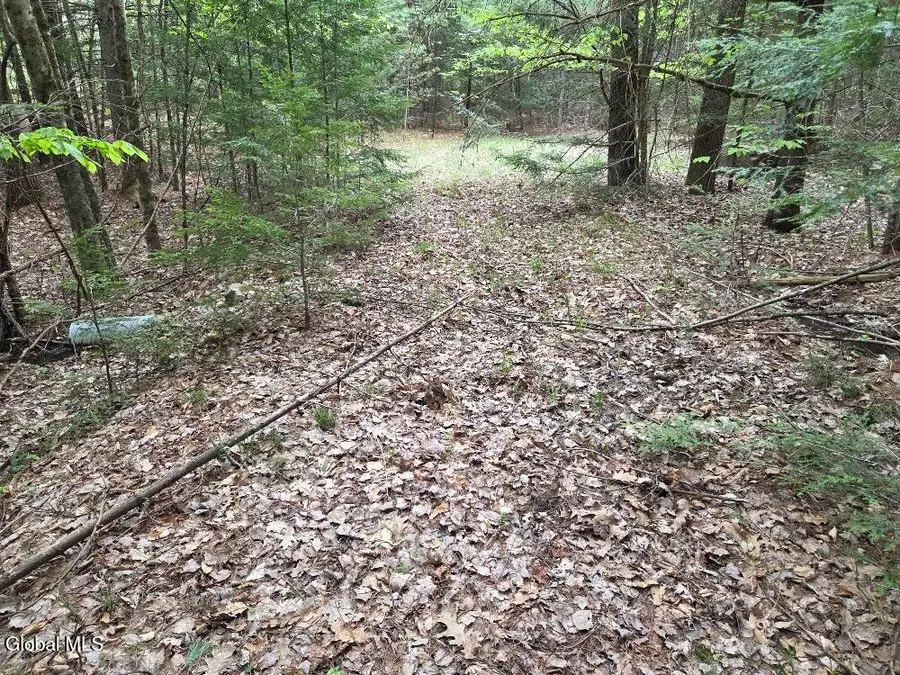 L2 & L3 Old Schroon Road, Pottersville, NY 12860 - #2