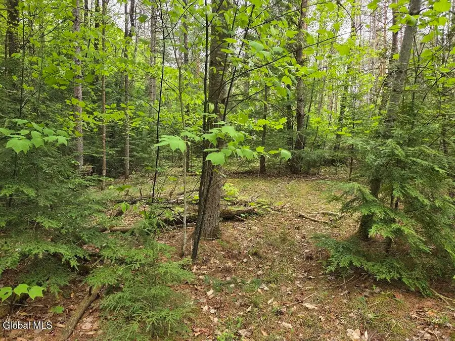 L2 & L3 Old Schroon Road, Pottersville, NY 12860 - #3