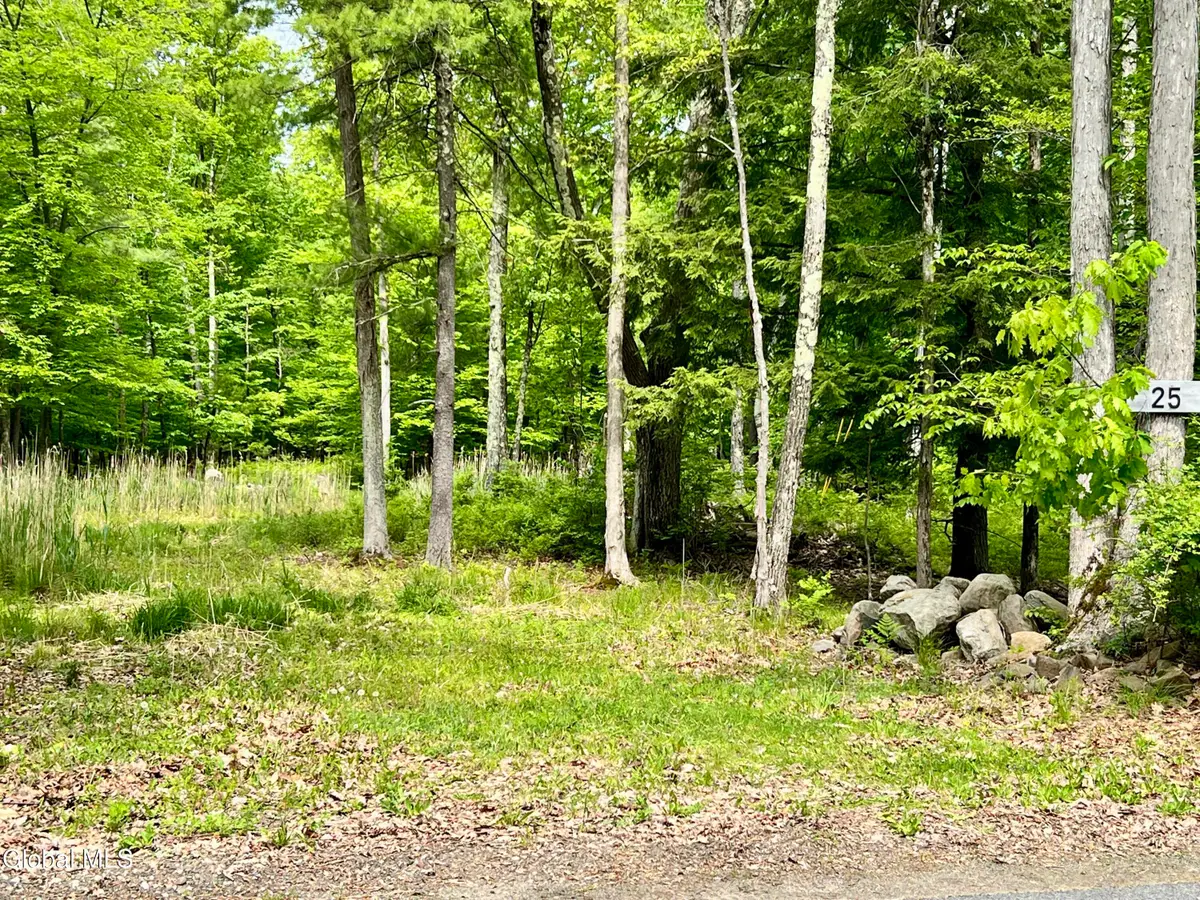 25 Catlin Road, Poestenkill, NY 12018 - #1