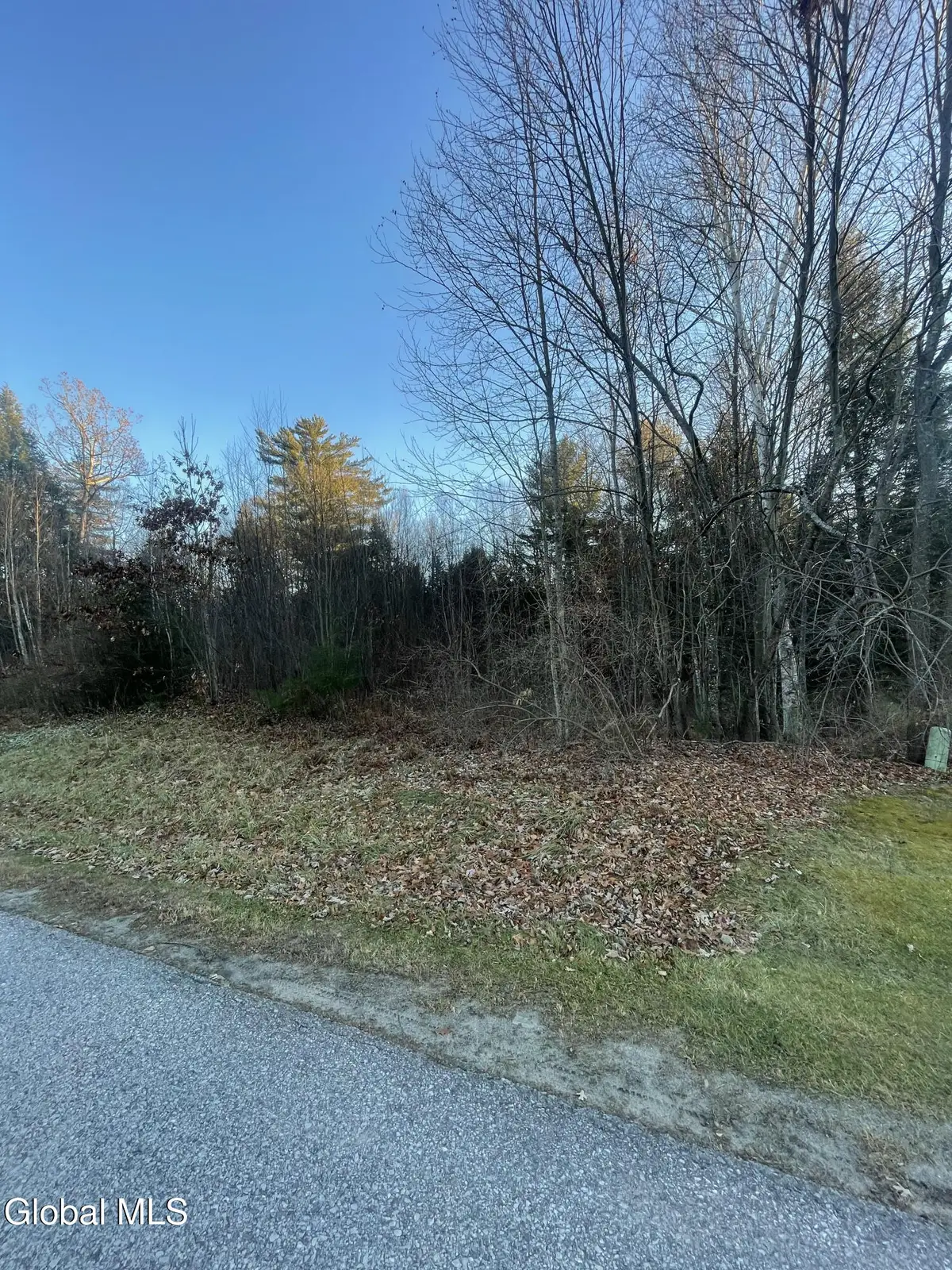 L2.1 Landon Drive, Johnstown, NY 12078 - #1