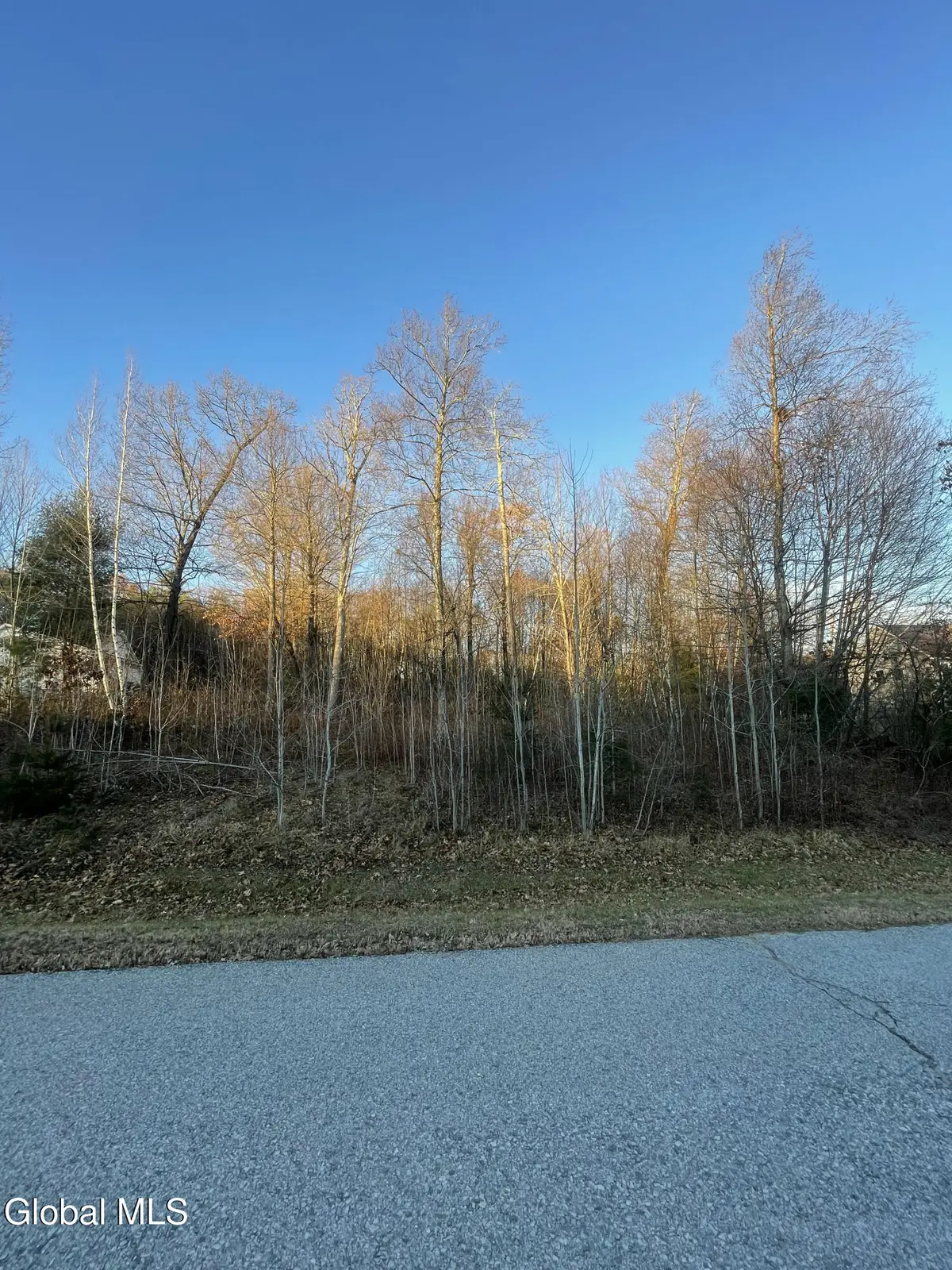 L10 Landon Drive, Johnstown, NY 12078 - #1