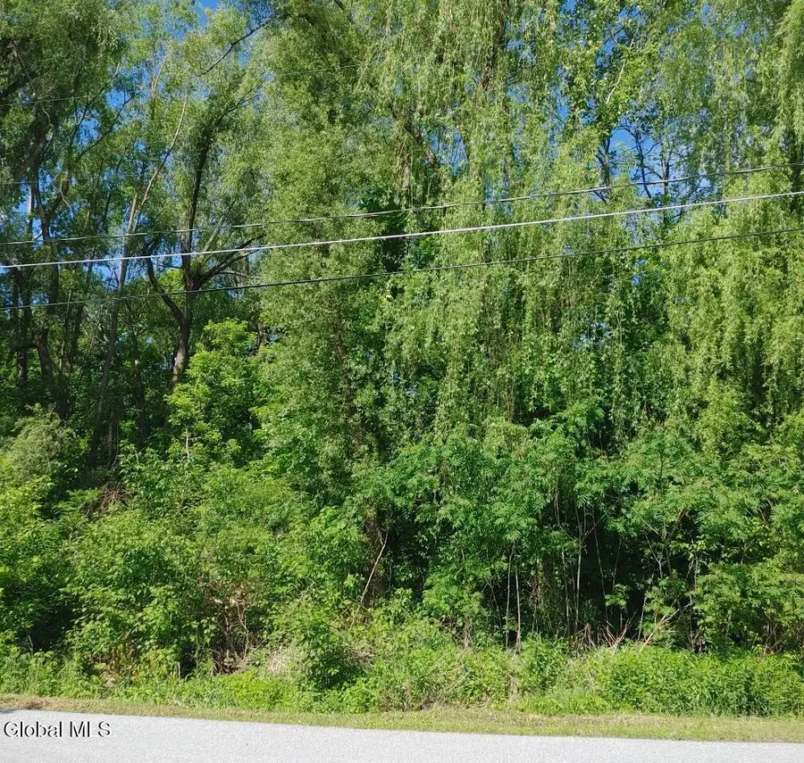 L2 Grace Avenue, Ticonderoga, NY 12883 - #3