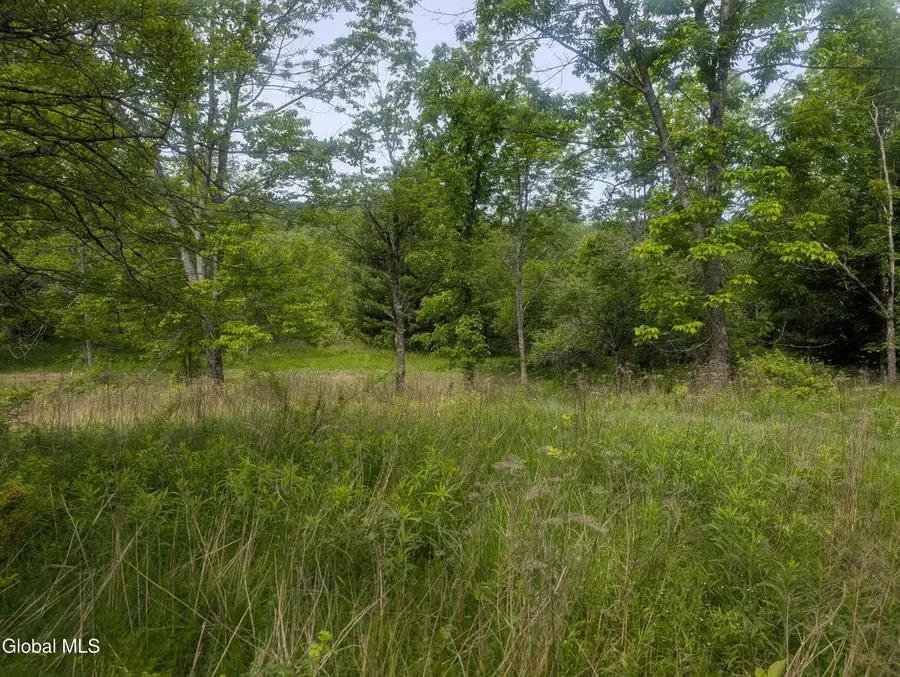 L.5 0 Hovey Avenue, Hoosick Falls, NY 12090 - #2