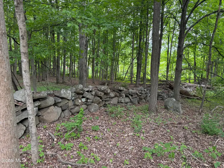 11342 State Route 32, Greenville, NY 12083 - #3