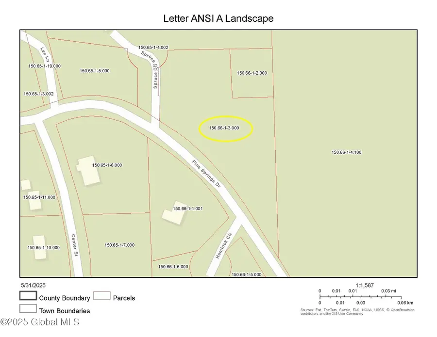 L3 Pine Springs Drive, Ticonderoga, NY 12883 - #2