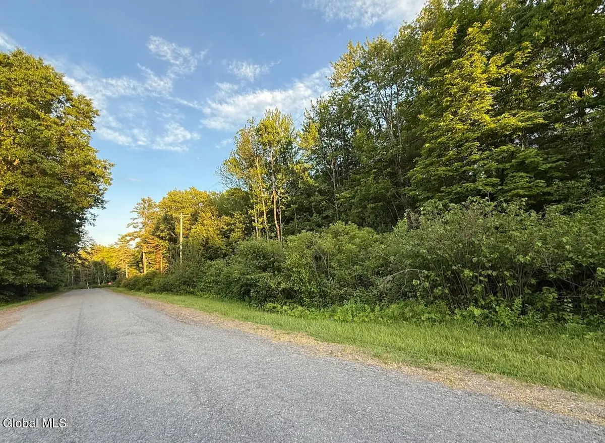 107 Scout Road, Wilton, NY 12831 - #1