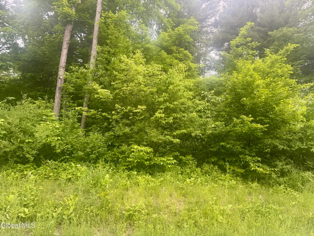 L2 Reynolds Road, Pattersonville, NY 12137 - #1