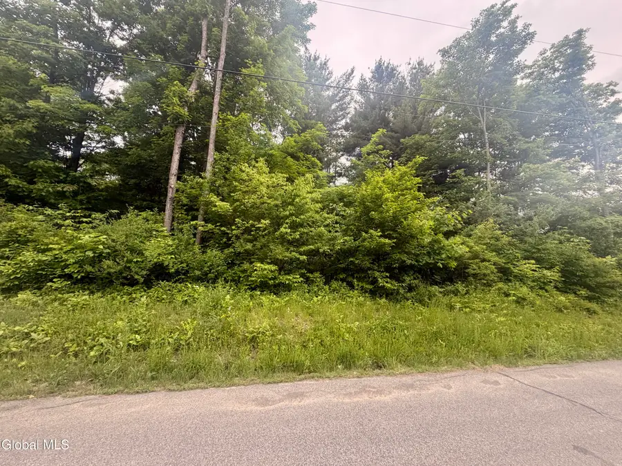 L2 Reynolds Road, Pattersonville, NY 12137 - #2