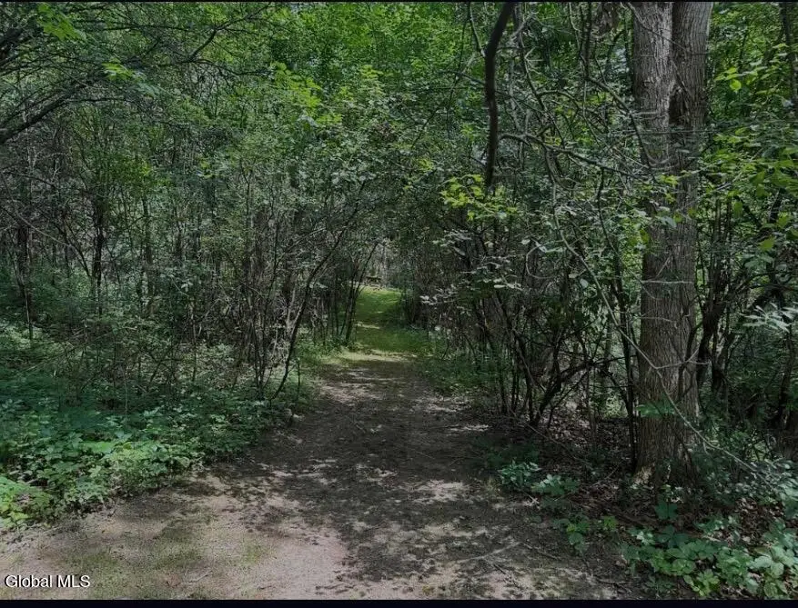 21 Rip Van Winkle Drive, Sleepy Hollow Lake, NY 12015 - #2