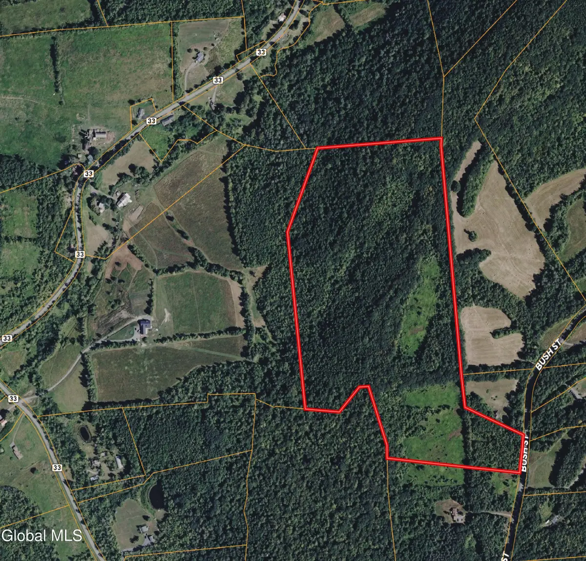 L16 Bush Street, Seward, NY 12043 - #1
