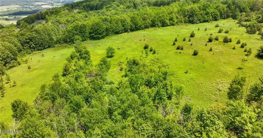 L16 Bush Street, Seward, NY 12043 - #2