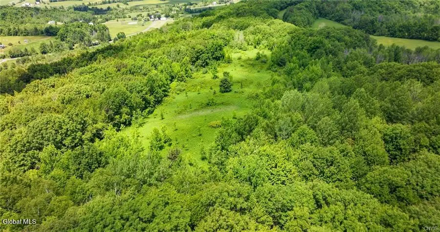 L16 Bush Street, Seward, NY 12043 - #3