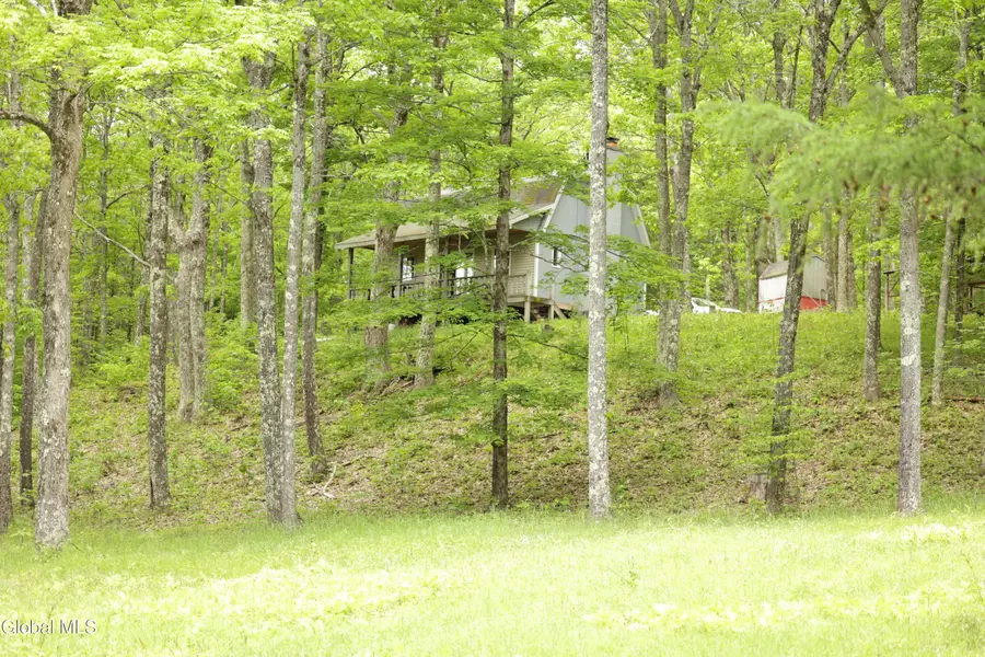 241 Minke Road, Warnerville, NY 12187 - #3