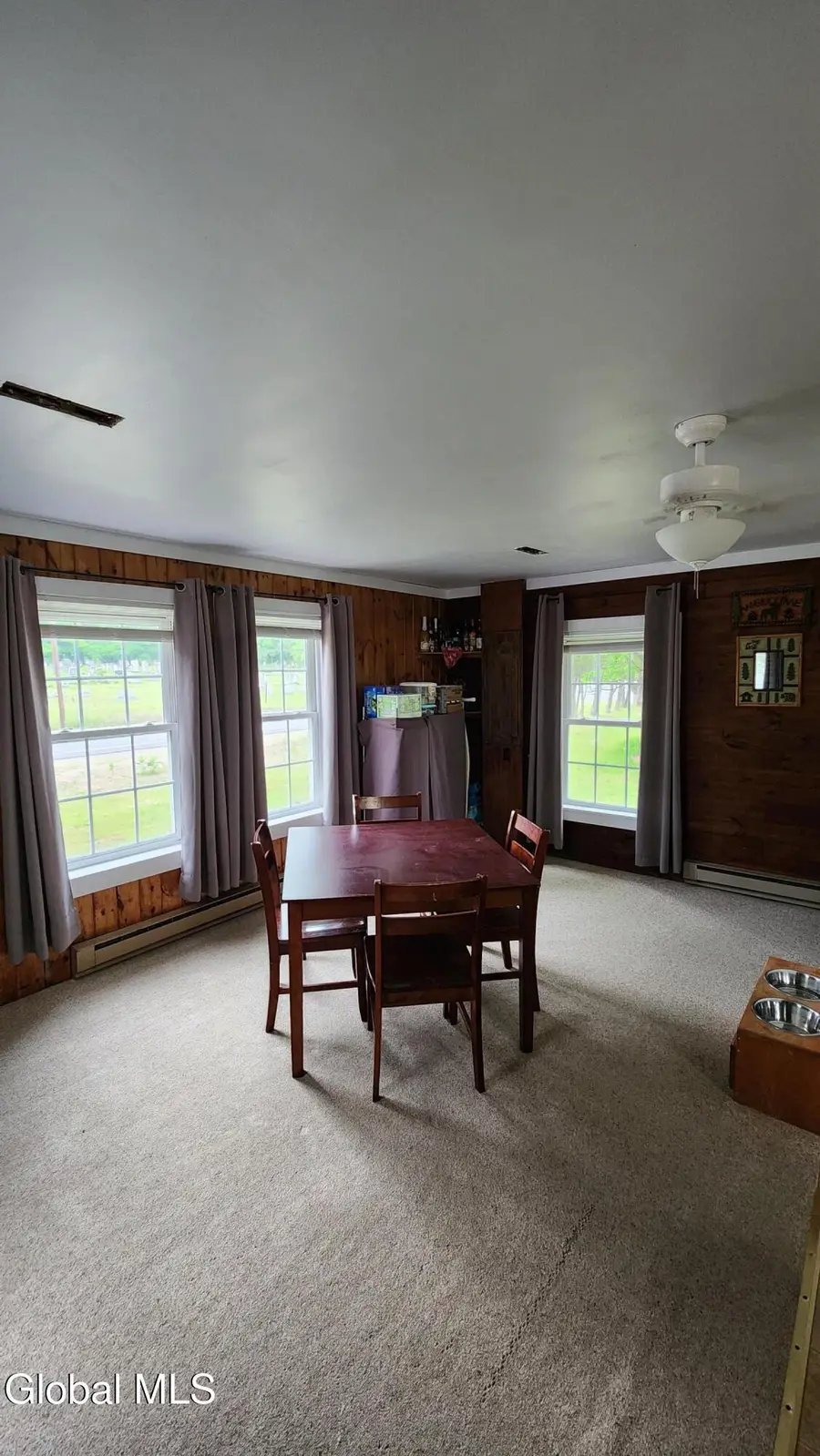1632 Rt 28, Minerva, NY 12851 - #3