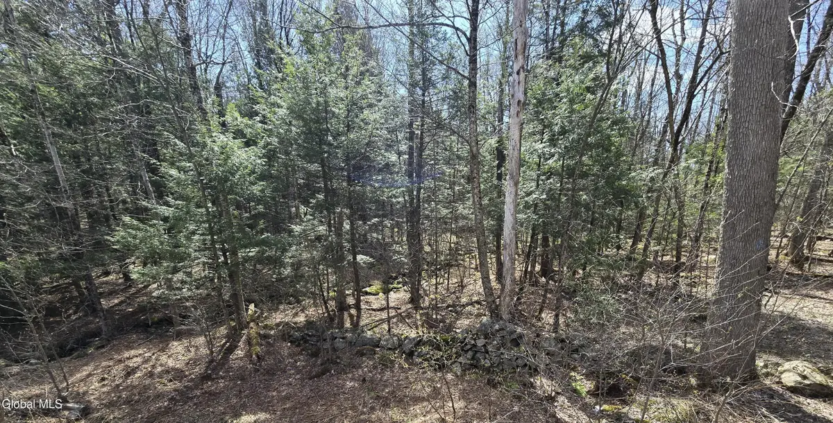 0 Jacobs Ladder Road, Becket, MA 01223 - #1