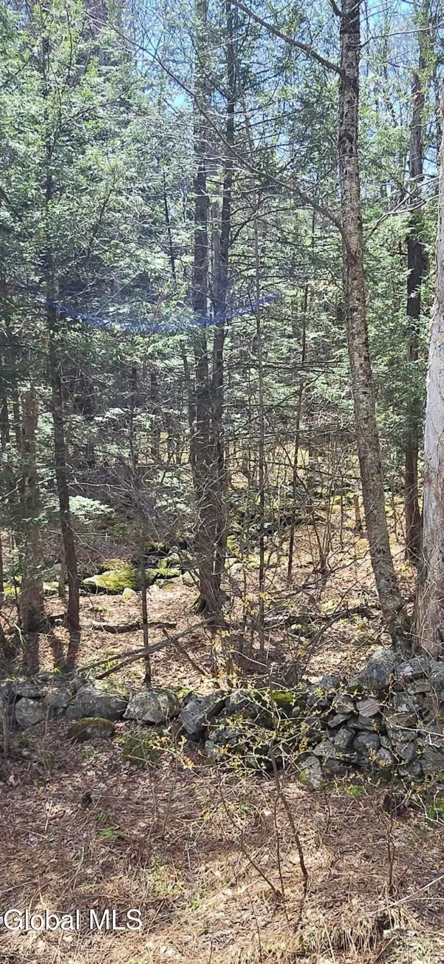 0 Jacobs Ladder Road, Becket, MA 01223 - #3