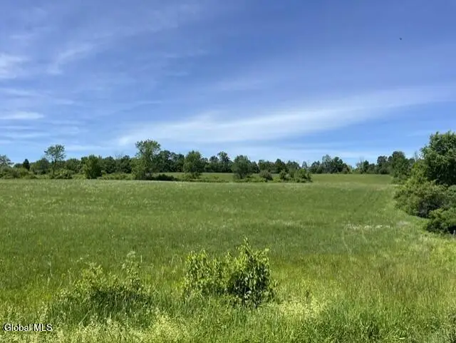 L16 Lawton Road, Howes Cave, NY 12092 - #3