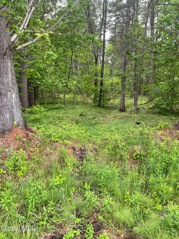 2447 Ny-28, Johnsburg, NY 12886