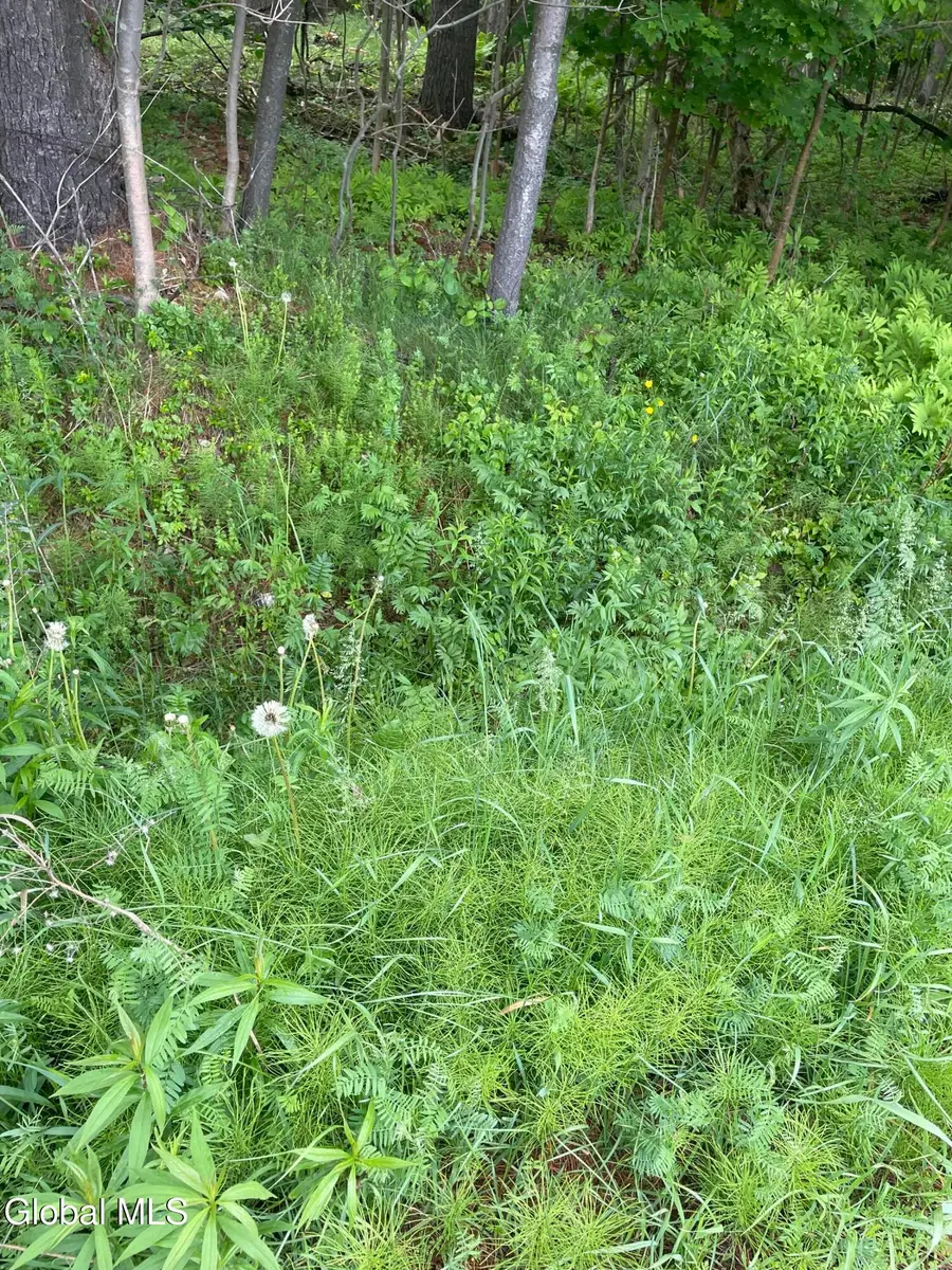 2447 Ny-28, Johnsburg, NY 12886 - #3