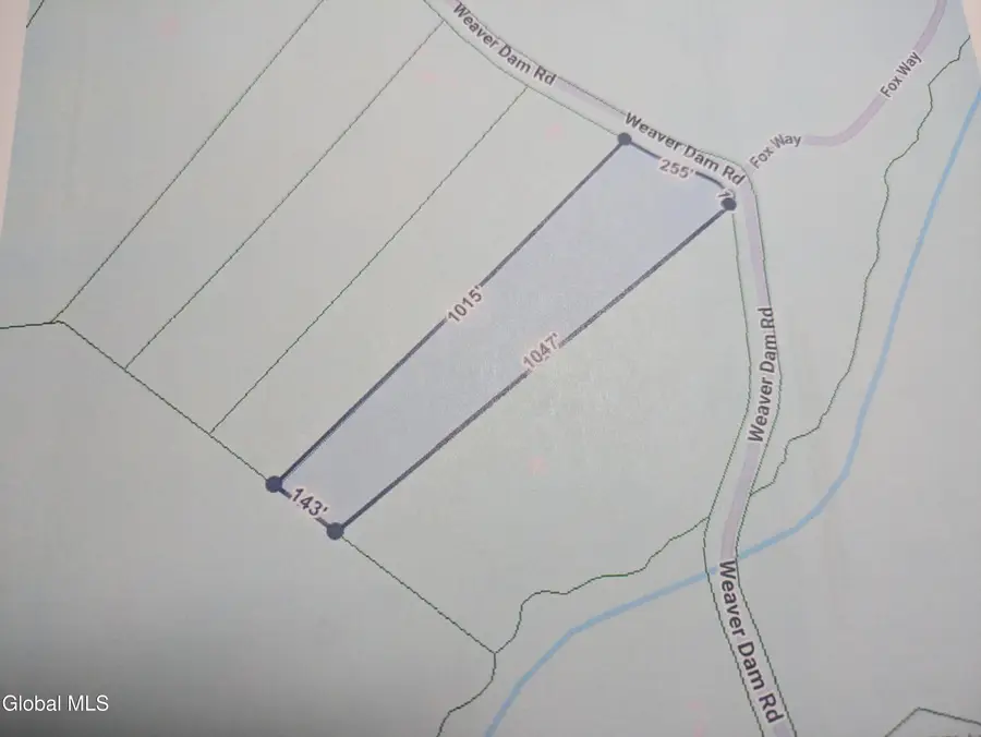 L6.34 Weaver Dam Road, Petersburgh, NY 12138 - #2