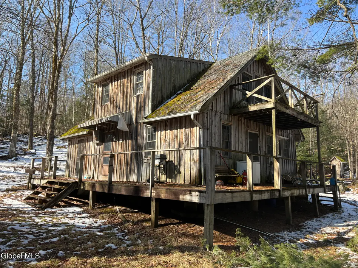 536 Bates Forest Road, Conesville, NY 12076 - #1