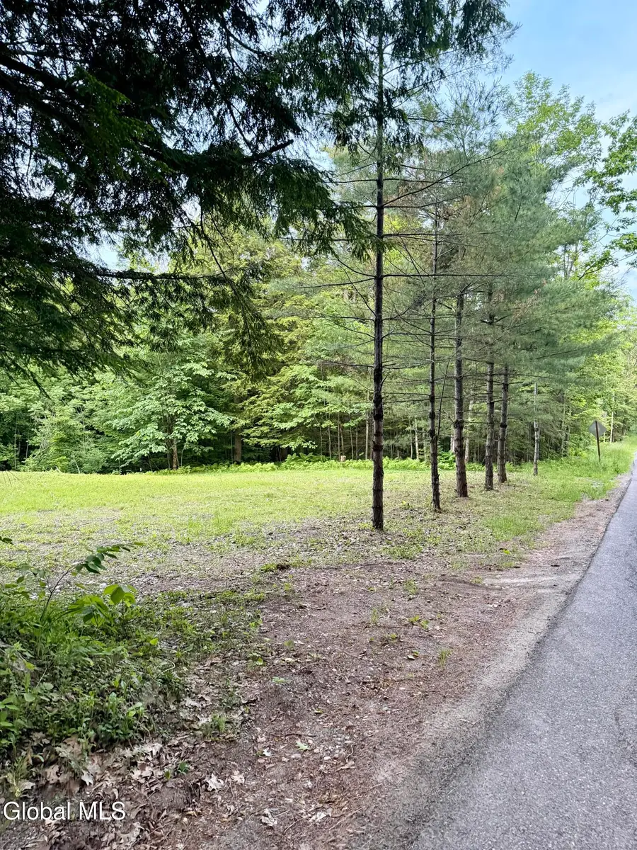 422 Old Peck Hill Road, Johnstown, NY 12078 - #2
