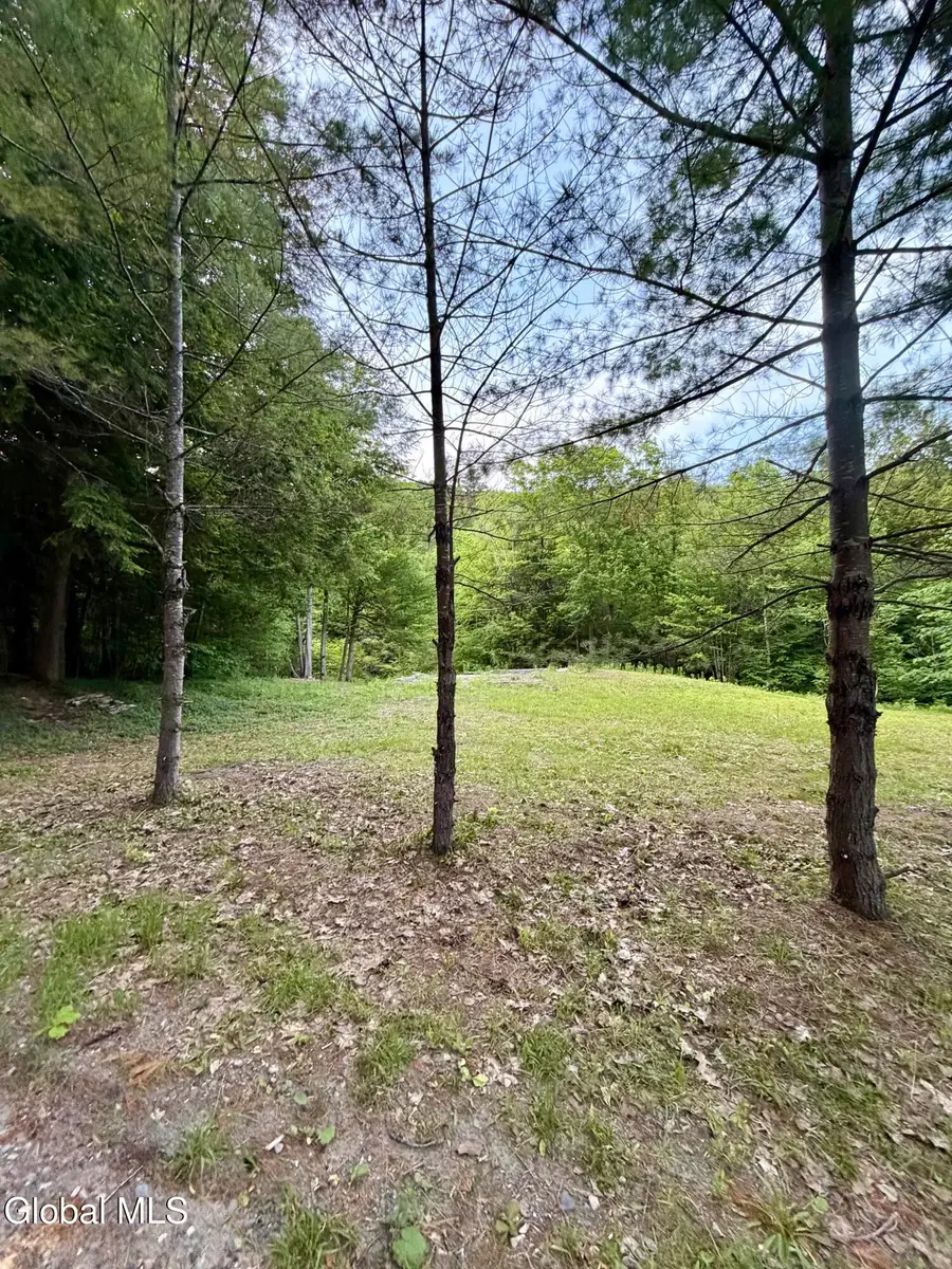 422 Old Peck Hill Road, Johnstown, NY 12078 - #3