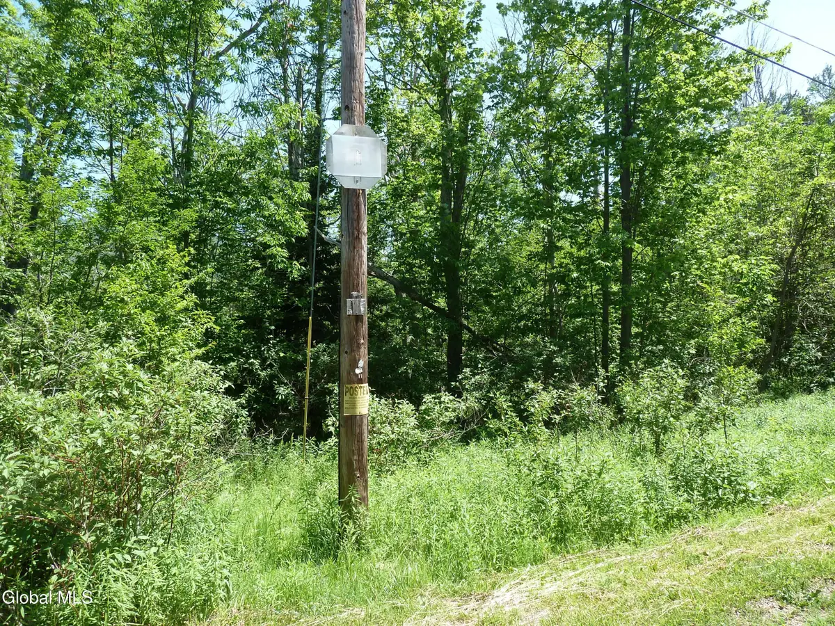 L6.114 Berry Lane, Hunter, NY 12442 - #1