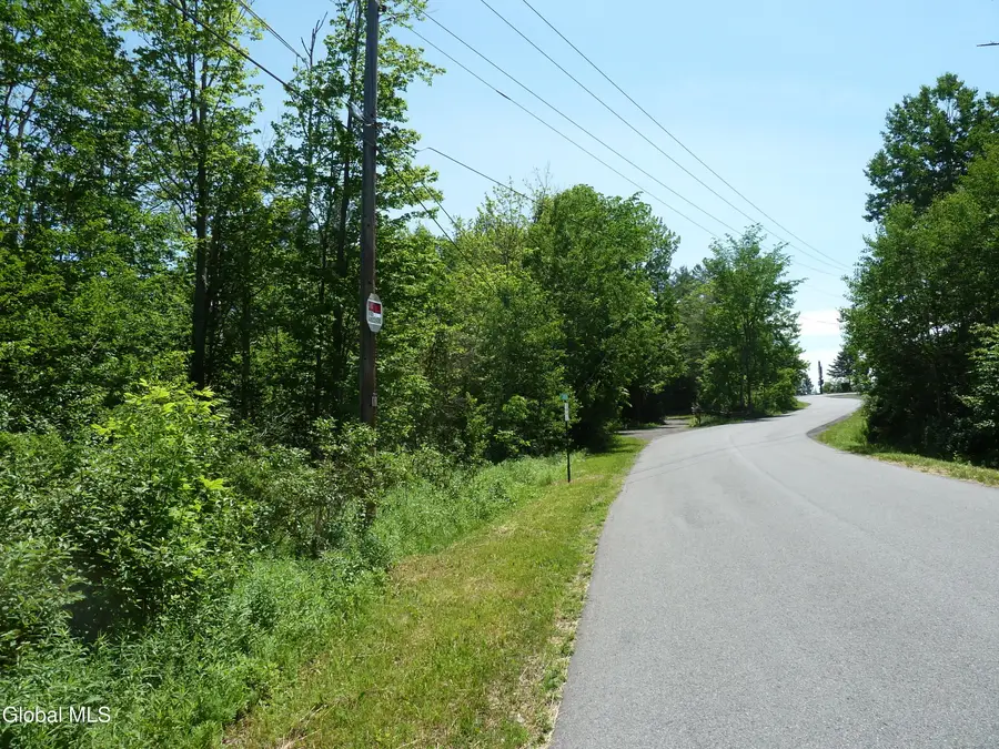 L6.114 Berry Lane, Hunter, NY 12442 - #2