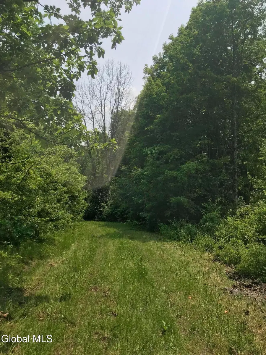 L8 Lower Cady Road, Old Chatham, NY 12136 - #2