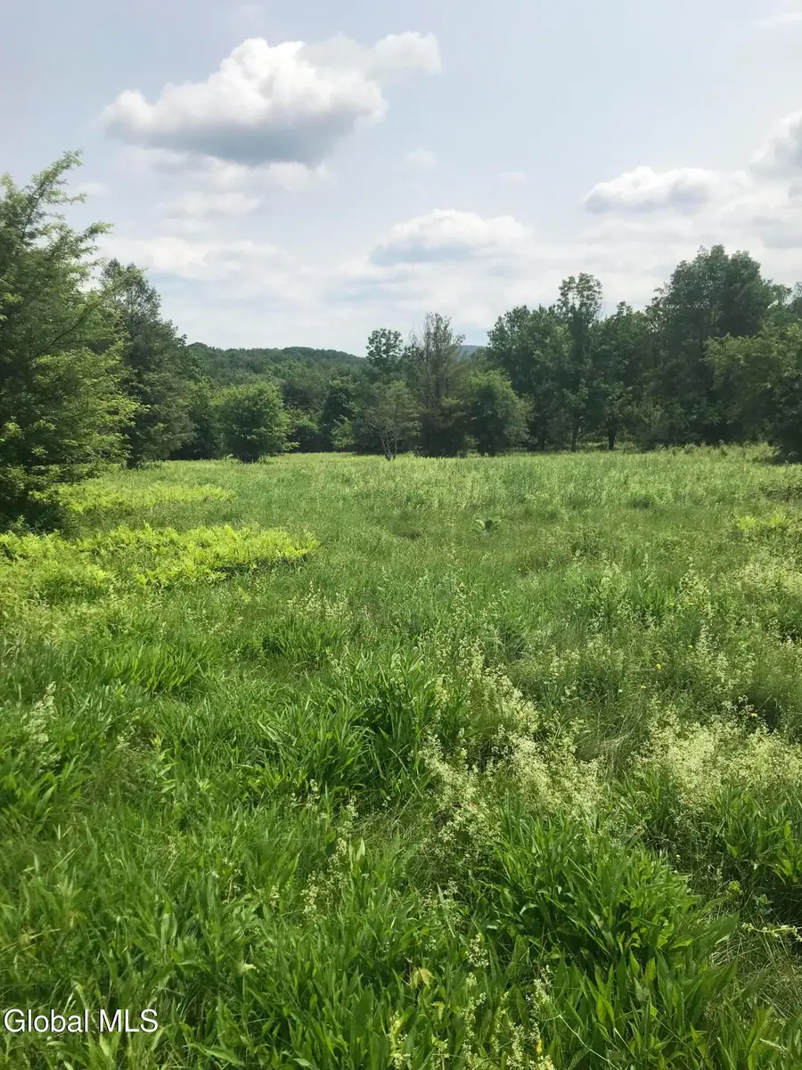L8 Lower Cady Road, Old Chatham, NY 12136 - #3