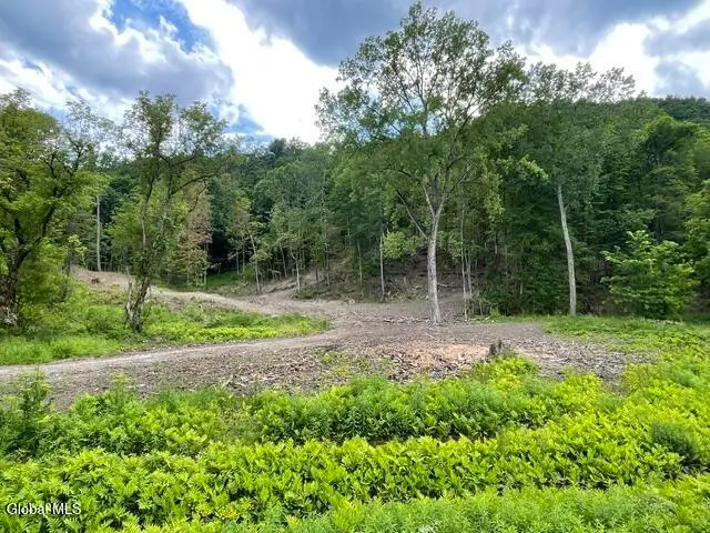 20419 State Route 22, Petersburgh, NY 12138 - #1