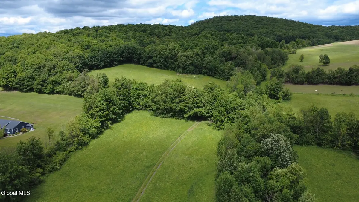 752 Loonenbergh Turnpike, Sharon Springs, NY 13459 - #1