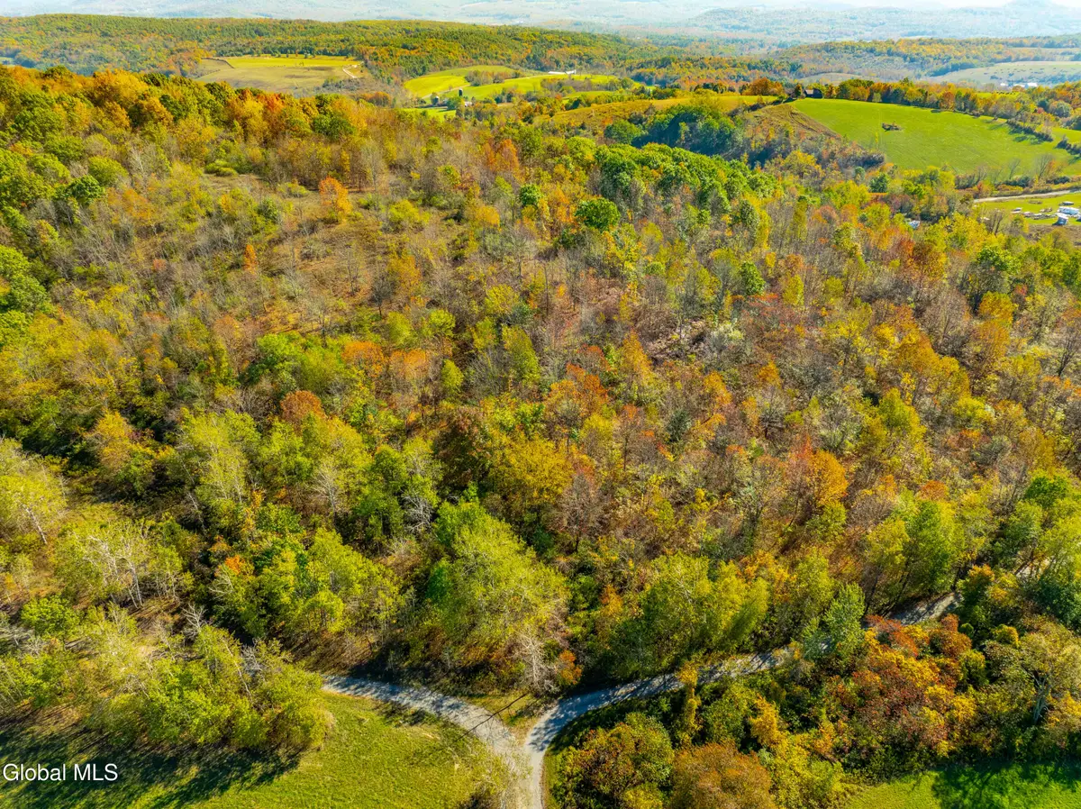 L39.5 Liebig Road, Hebron, NY 12832 - #1