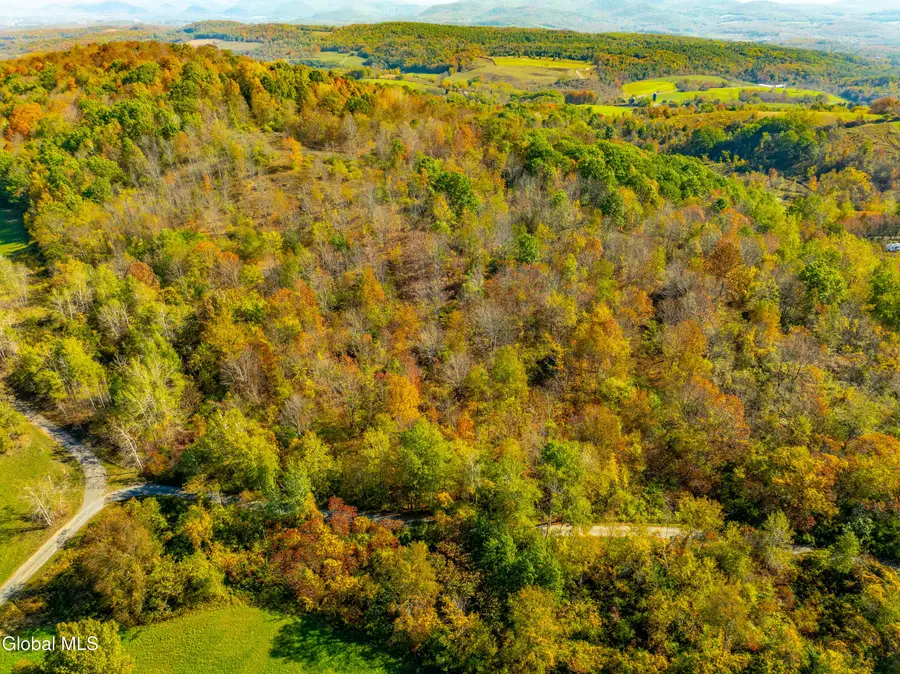 L39.5 Liebig Road, Hebron, NY 12832 - #3