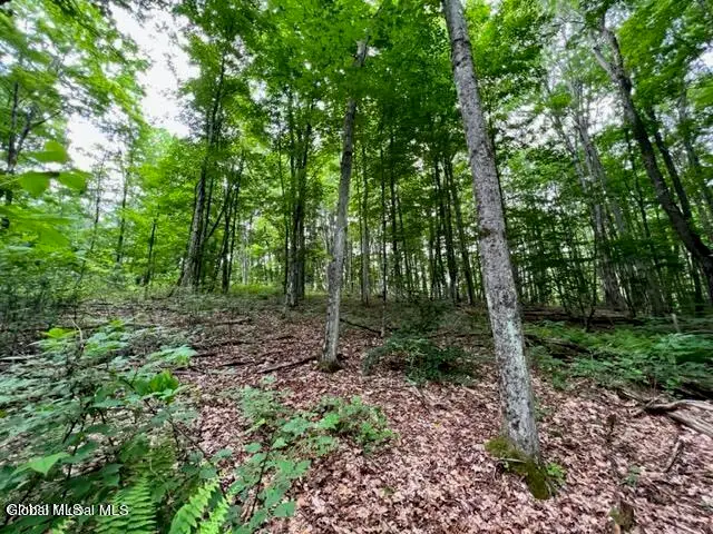 Lot 1 Mcgregor Road #Lot 1, Johnstown, NY 12078 - #1