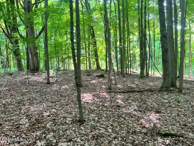 Lot 1 Mcgregor Road #Lot 1, Johnstown, NY 12078 - #2