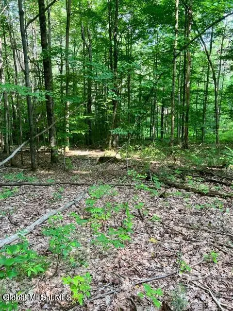 Lot 1 Mcgregor Road #Lot 1, Johnstown, NY 12078 - #3