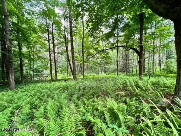 Lot 2 Mcgregor Road #Lot 2, Johnstown, NY 12078