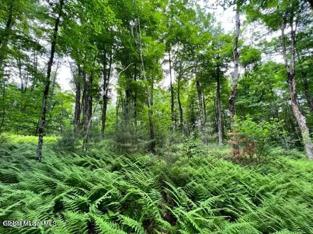 Lot 2 Mcgregor Road #Lot 2, Johnstown, NY 12078 - #2