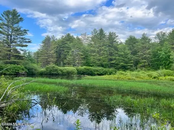 Lot 3 Mcgregor Road #Lot 3, Johnstown, NY 12078