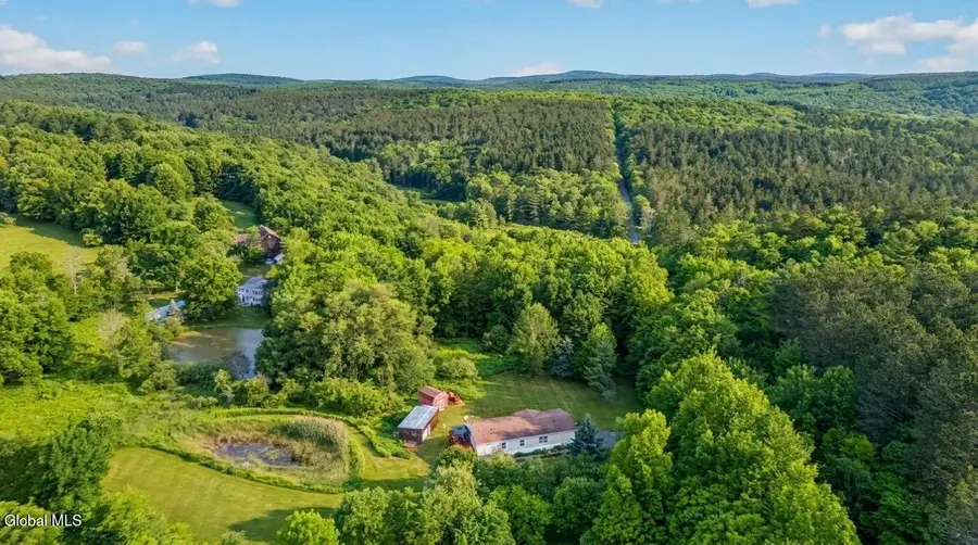 171 Rossman Hill Road, Summit, NY 12175 - #3