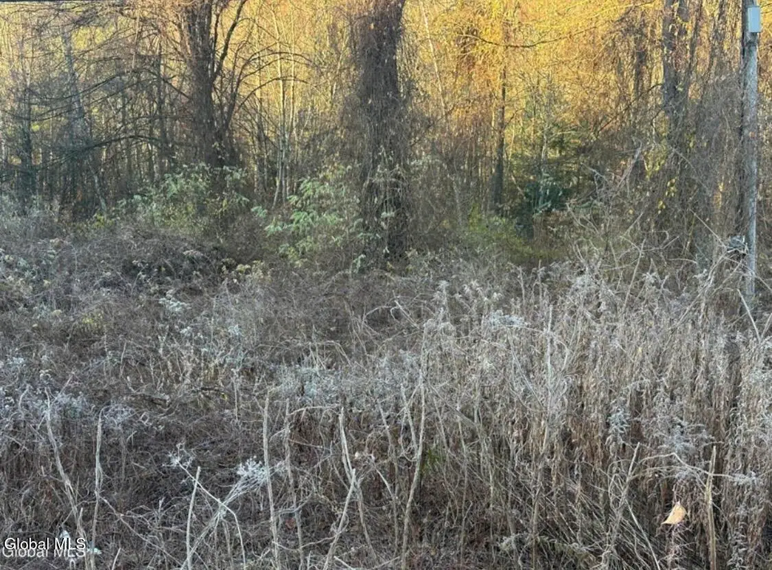 L8 Rr 9, Lake George, NY 12845 - #1