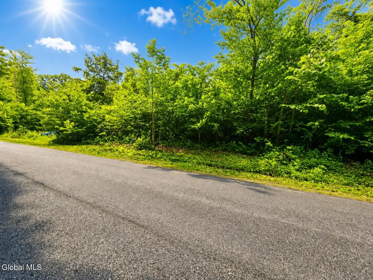 203 Watershed Road, Johnstown, NY 12095 - #1