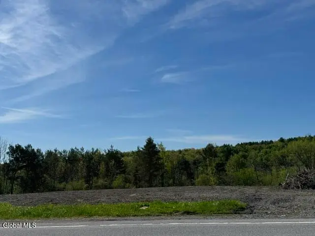 L2.114 Duanesburg Road, Delanson, NY 12053 - #1